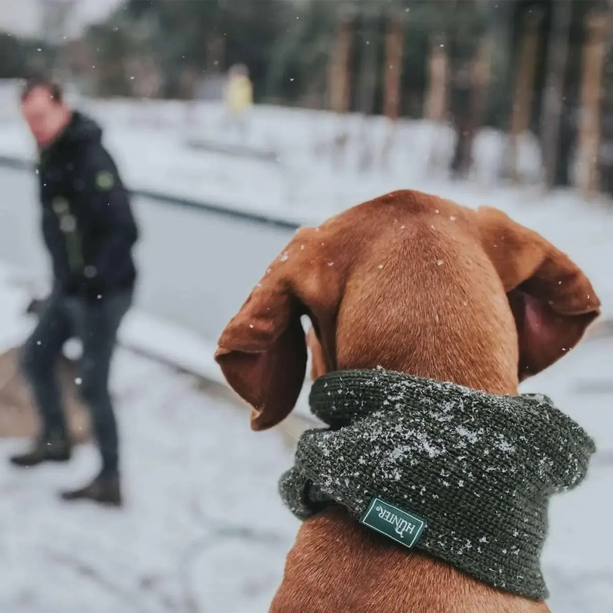 Žalias HUNTER šuns šalikas, stilingas ir šiltas aksesuaras, apgaubiantis augintinio kaklą šaltu oru.