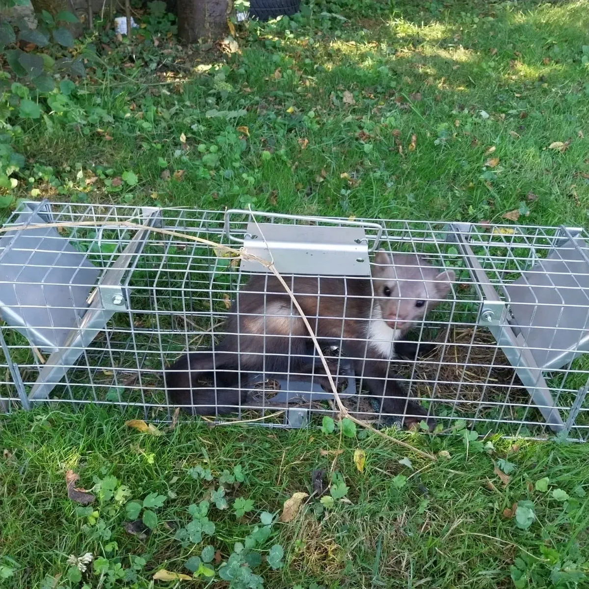 Naras 65x17x20 cm su dviem įėjimais, tinkamas gyvūnams, su metaliniais narvo spąstais ir tvirta konstrukcija