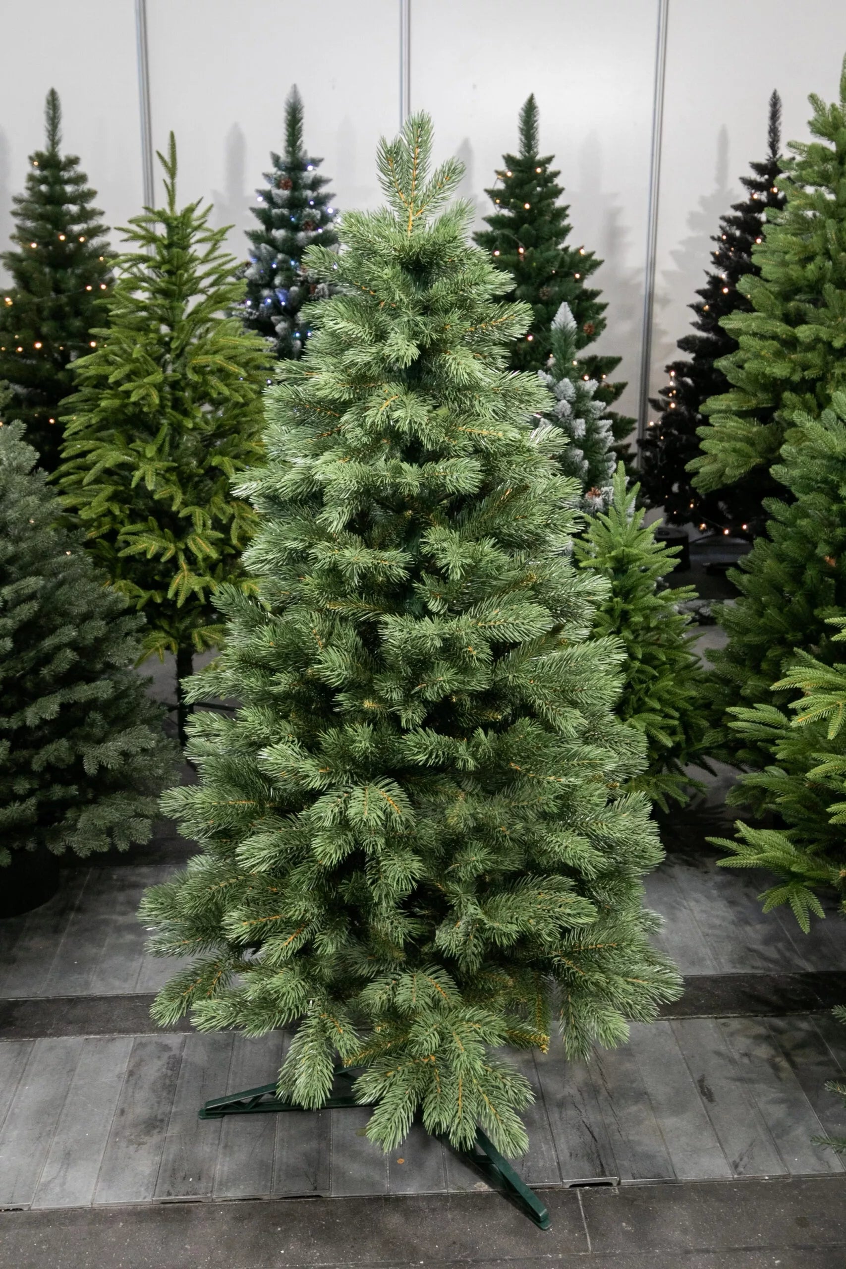 120 cm Kalėdų eglutė Sosna Himalajska Exclusive