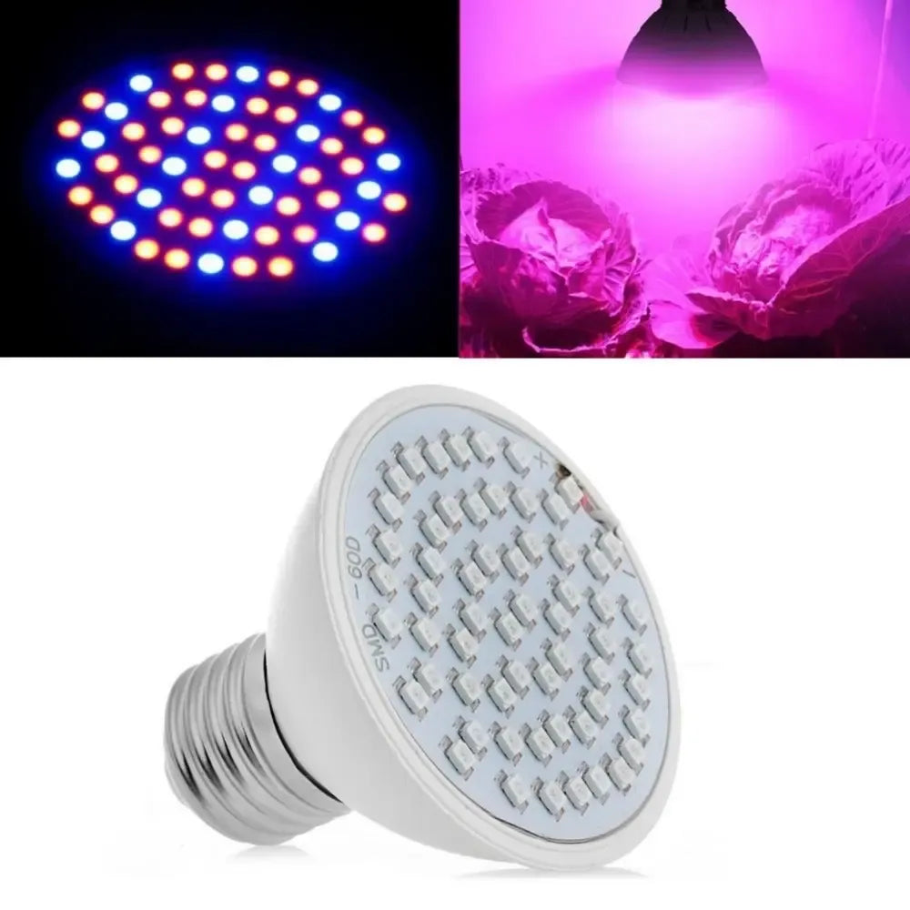 15W LED augalų auginimo lempa fotosintezei skatinti, su šviesos diodais ir ilgaamžiu dizainu.