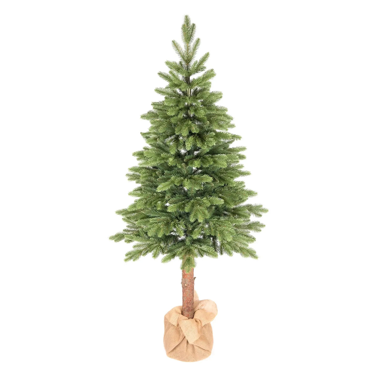180 cm Ziemassvētku eglīte “Skandināvu baltegle”