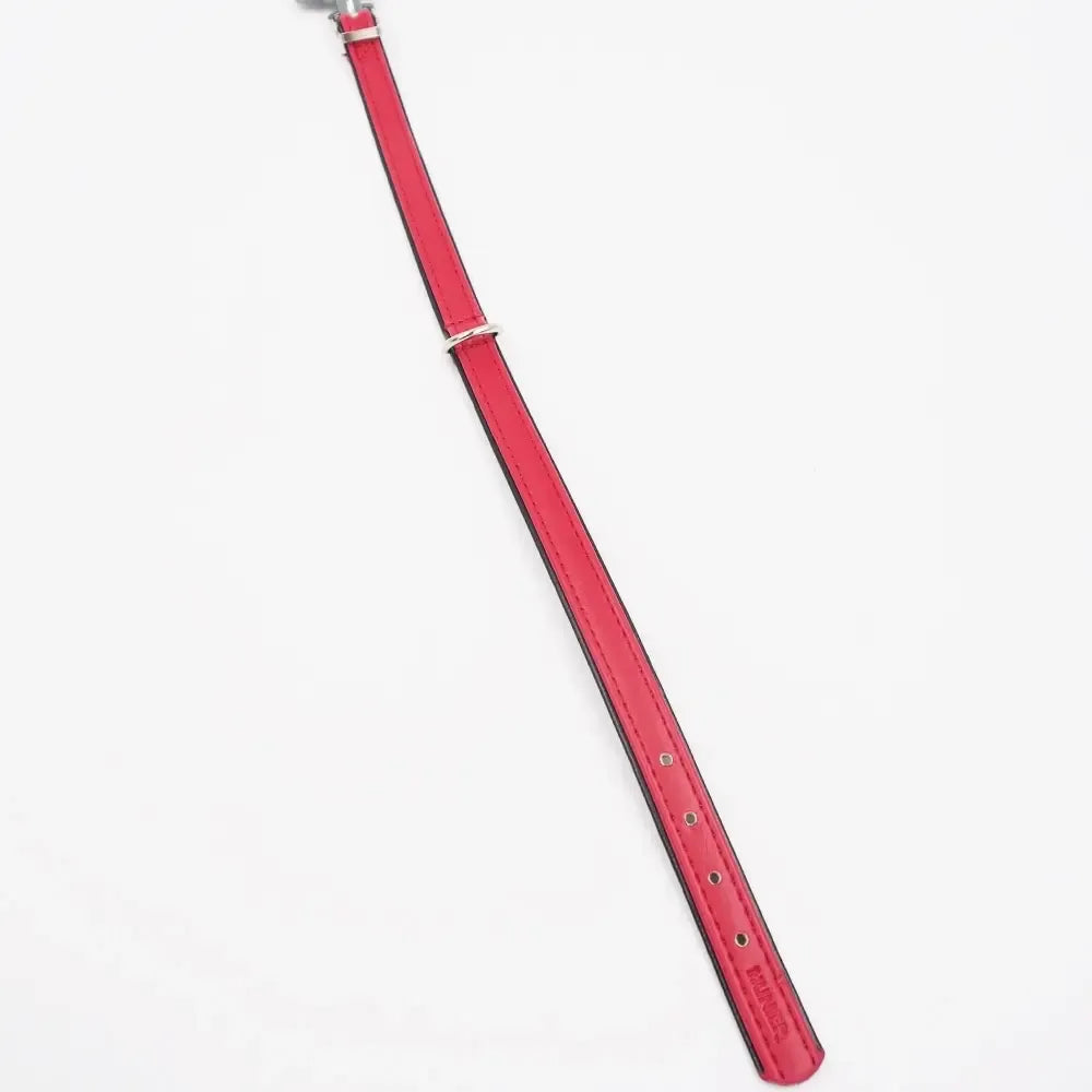 Raudonas odinis šunų antkaklis Hunter, 32–38 cm, patvarus ir patogus naminiams gyvūnams.