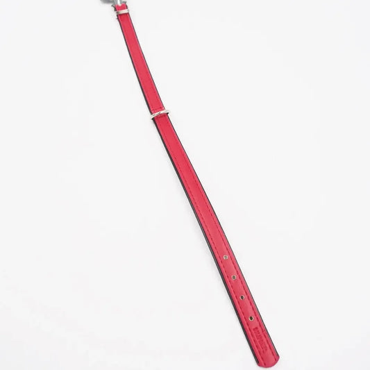 Raudonas odinis šunų antkaklis Hunter, 32–38 cm, patvarus ir patogus naminiams gyvūnams.