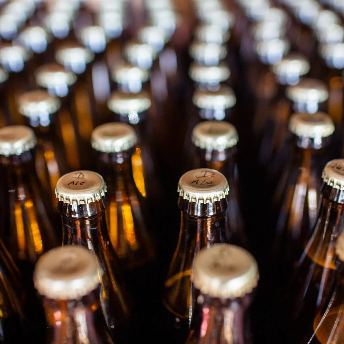 Alkoholio gamybos rinkinys MicroBrewery ECO 2, namų alaus virimo kompletas su visais reikalingais įrankiais.