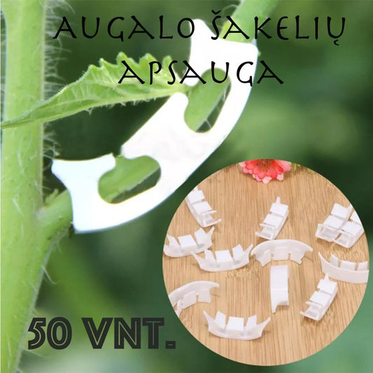 Augu zariņu turētāji 50 gab.