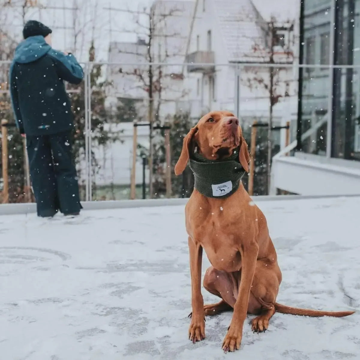 Žalias HUNTER megztas šuns šalikas, stilingas ir šiltas aksesuaras, matomas ant šuns kaklo, pagamintas iš jaukaus audinio.