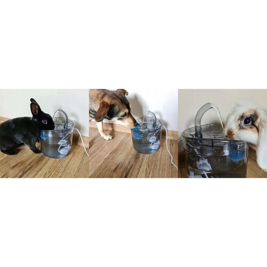 Automatinė gertuvė-fontanas augintiniams