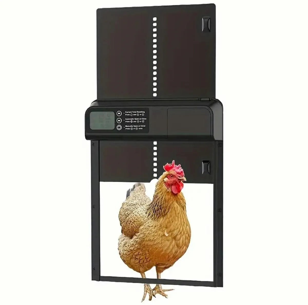 Automatinės durys vištoms