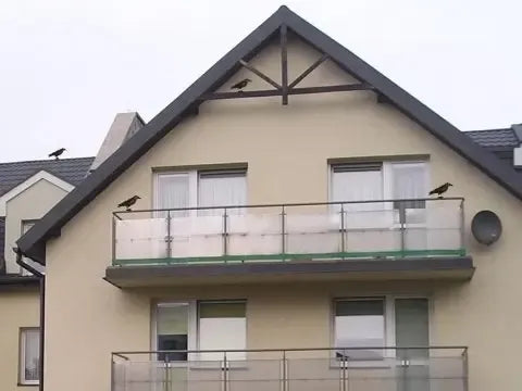 Varnos muliažas – efektyvi paukščių baidyklė, imituoja plaukiančią varnos siluetą, naudinga apsaugant augalus nuo paukščių.
