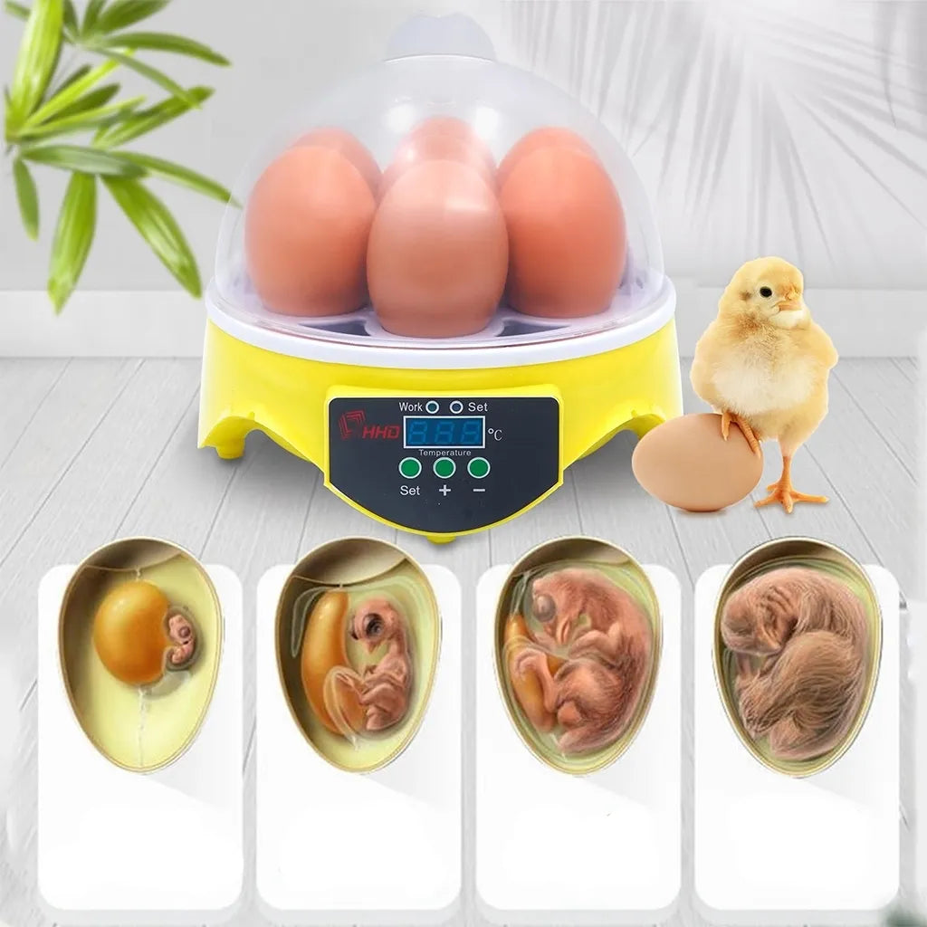 Kiaušinių inkubatorius 7 kiaušiniams su temperatūros valdymu