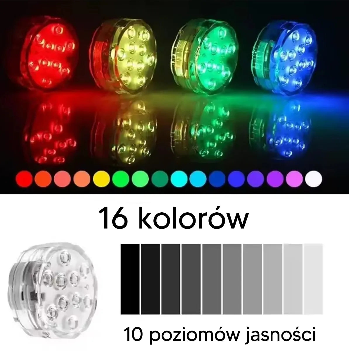 LED Lempa baseinui