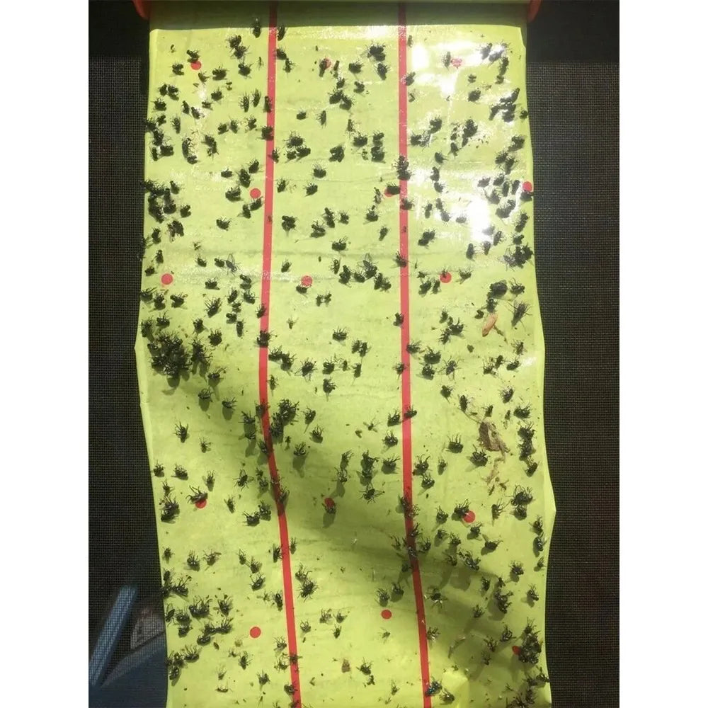 Lipni vabzdžių gaudyklė (ritė) 25 cm x 4 m