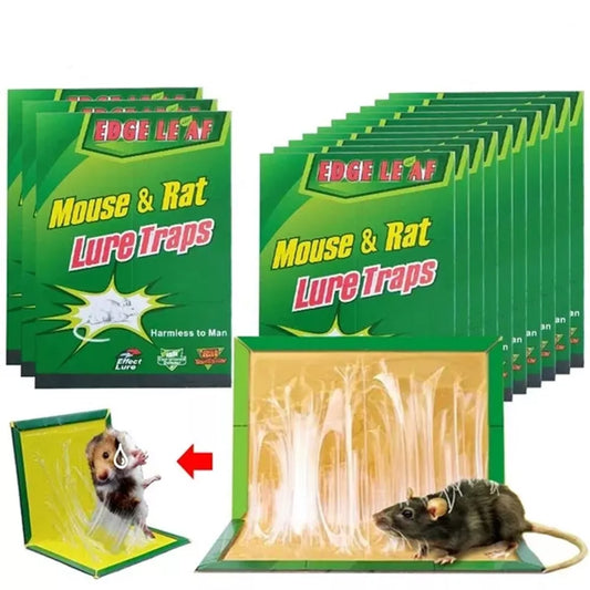 Lipīgas lamatas pelēm