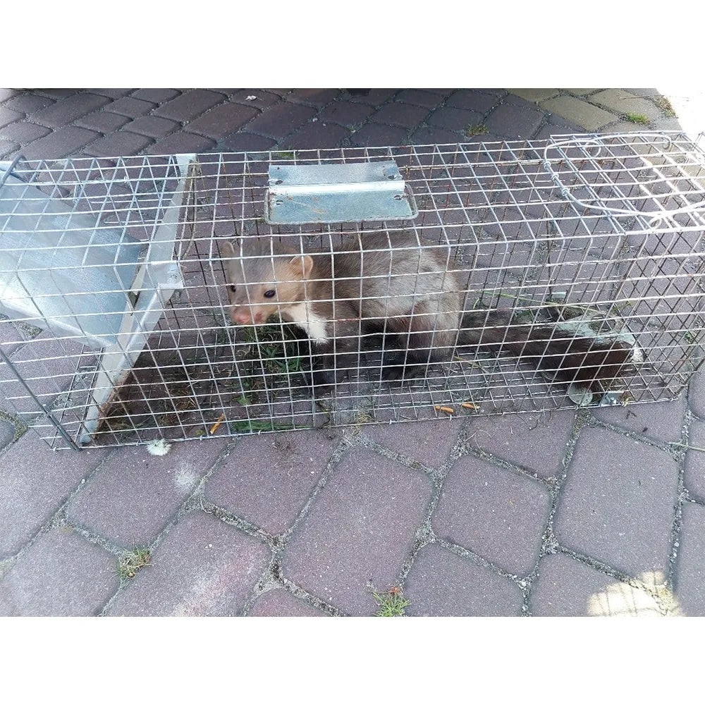 Narvas spąstai 82X20X27