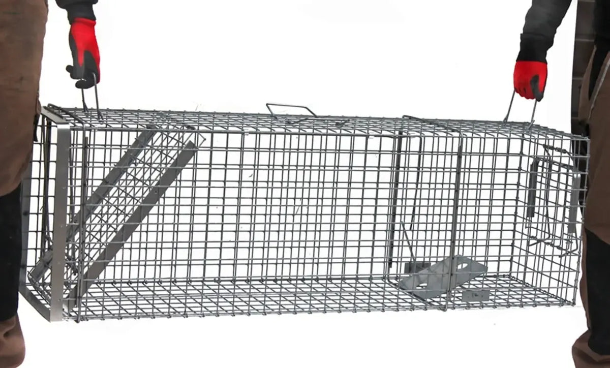 Profesionalūs gyvūnų spąstai 120x34x34 cm lapėms ir kiaunėms, su dviem įėjimais, humaniška gyvų gaudymo priemonė.