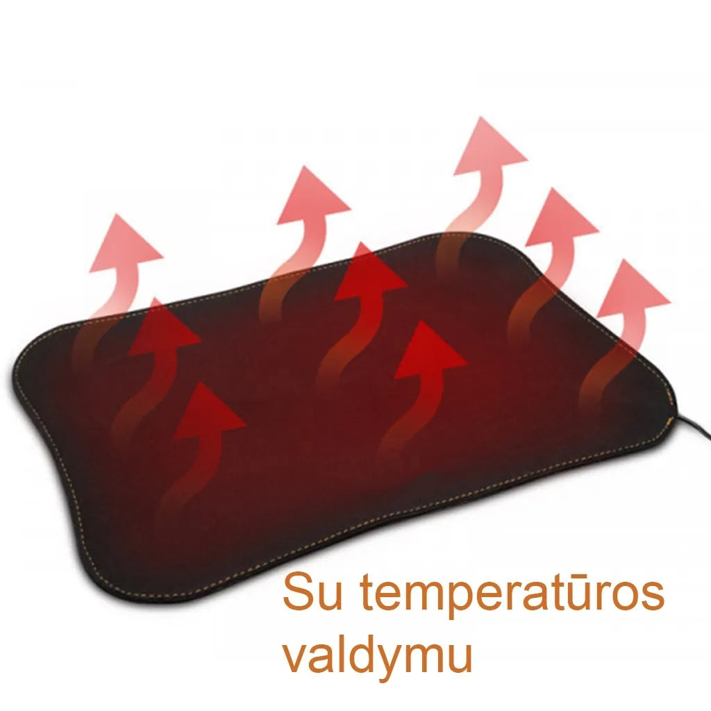 USB šildomas kilimėlis su temperatūros valdymu 30 x 20 cm