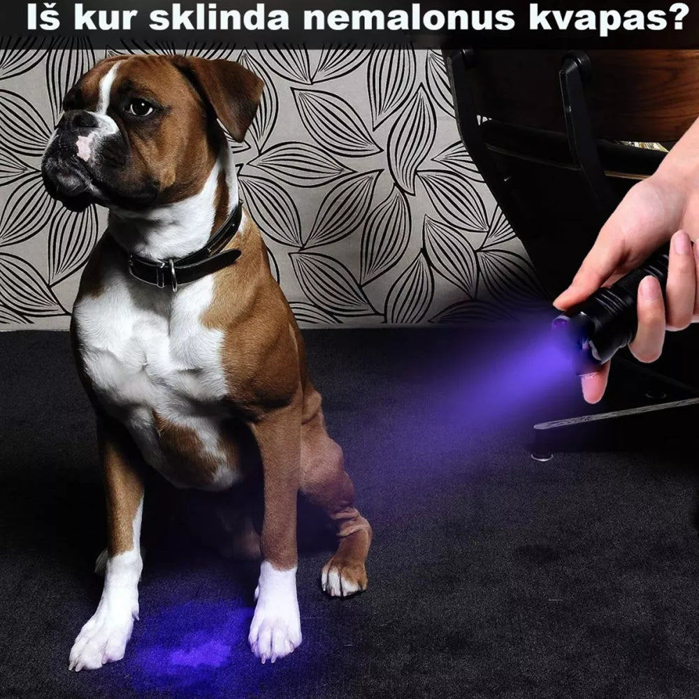 UV  Spindulių Prožektorius